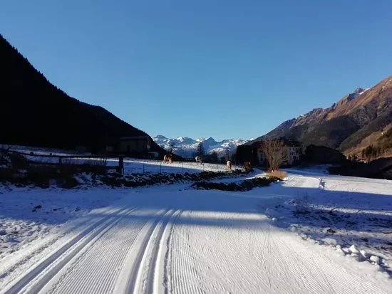 Sci di Fondo o Nordico
