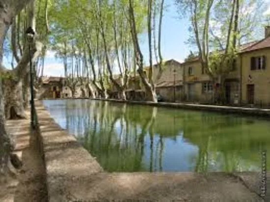 Bassin De L Etang