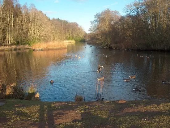 Haddo House & Country Park