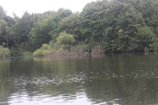 Stadt Moers Park