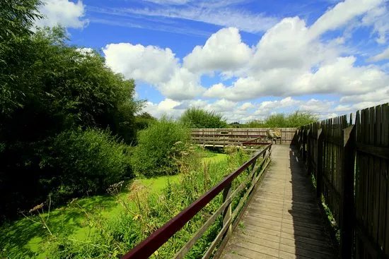 RSPB Rye Meads Nature Reserve
