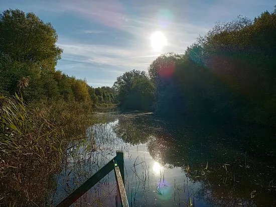 NABU Naturzentrum und Vogelbeobachtungsstation Katinger Watt
