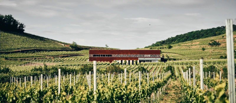 Weingut Abril