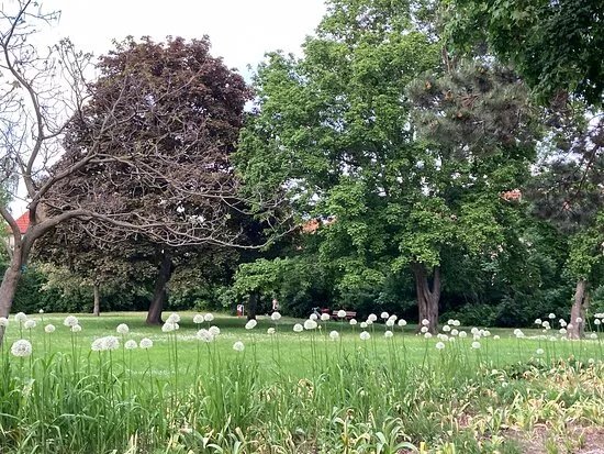 Pestalozzipark
