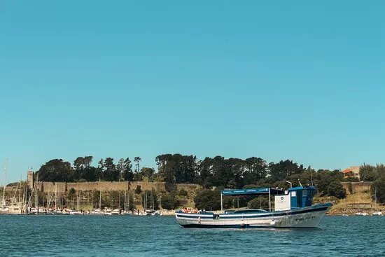 Bluscus Turismo Marinero