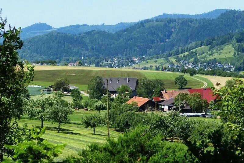 Beautiful vacation apartment, quiet location on forest’s edge w/spectacular