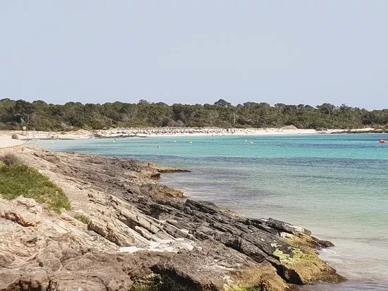 Platja D'es Carbo