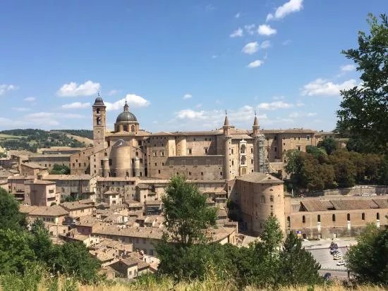 Urbino