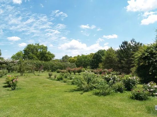 Botanical Garden Angelo Rambelli