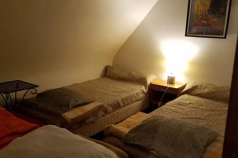 Eco-Van Gogh Room