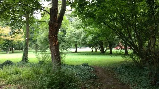 Baerenwiese Park