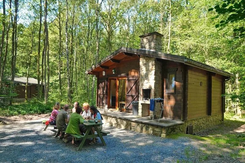 Cozy, wooden chalet with a microwave, located in a forest