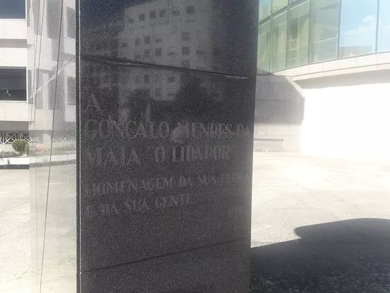 Estatua Do Lidador