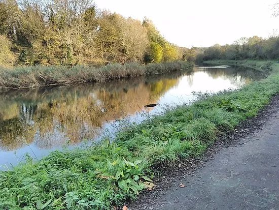 Lagan Meadows