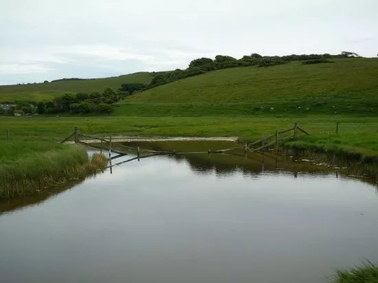 South Downs Way