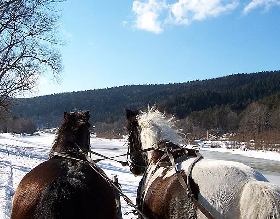 Szkolka Jazdy Konnej Hucul