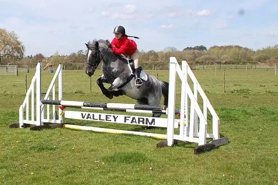 Valley Farm Equestrian Leisure