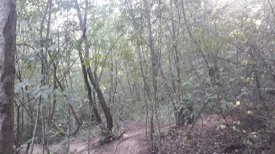 Parco Cinque Sensi