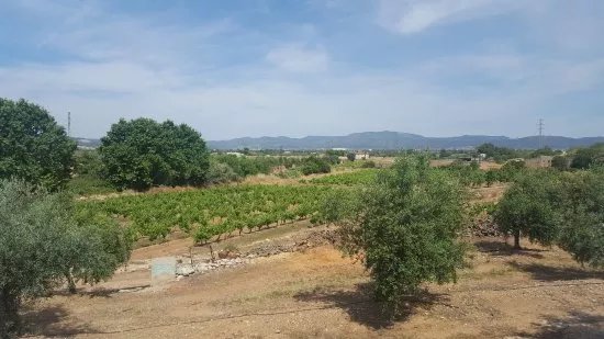 Finca Mas Perdut