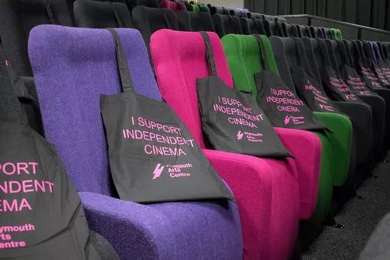 Plymouth Arts Cinema