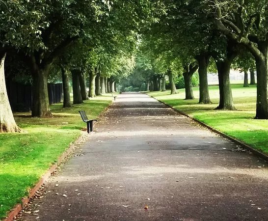Thompson Park