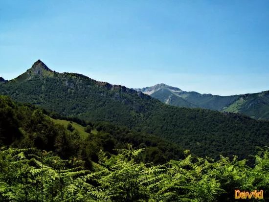 Parque Natural de Ponga