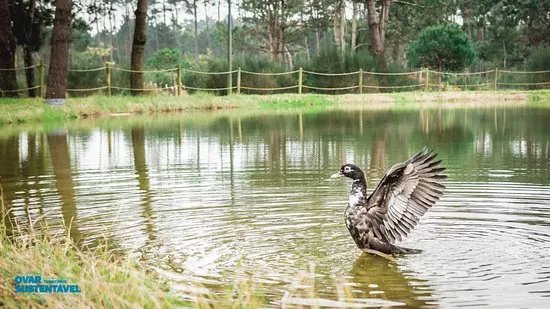 Parque Ambiental do Bucaquinho