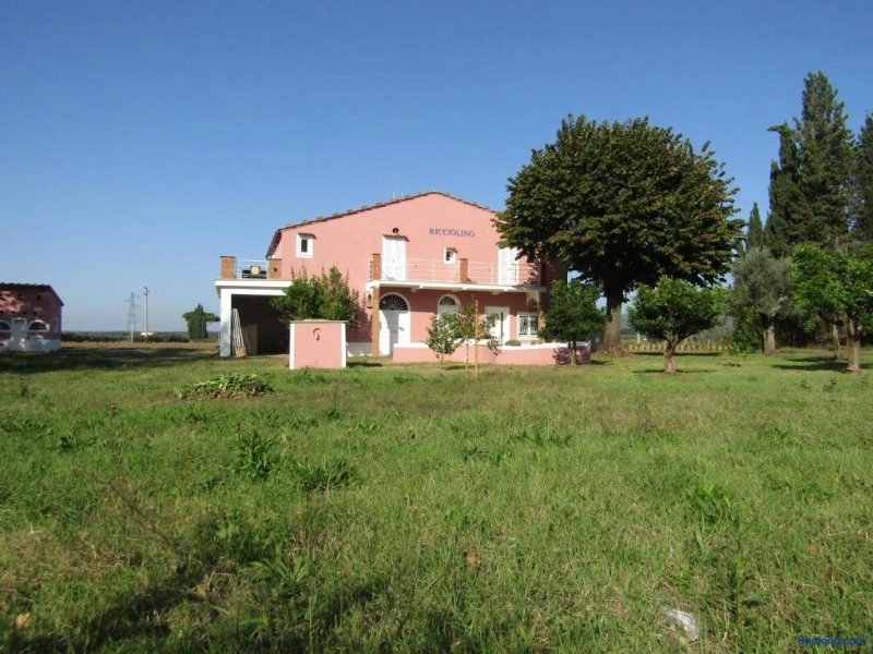 Agriturismo Ricciolino