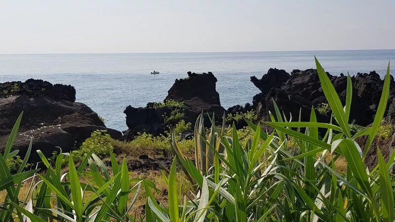Marigré house a stone's throw from the sea, relaxation, garden, Wi-fi & terrace