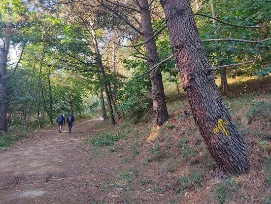 Galicia Experience