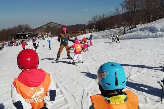 Scuola Sci e Snowboard Stray Dogs Le Polle Riolunato Cimone
