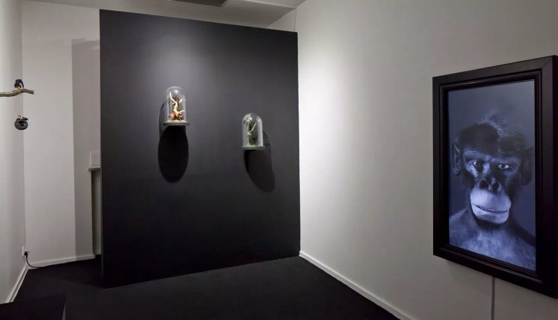 Digitaliseum
