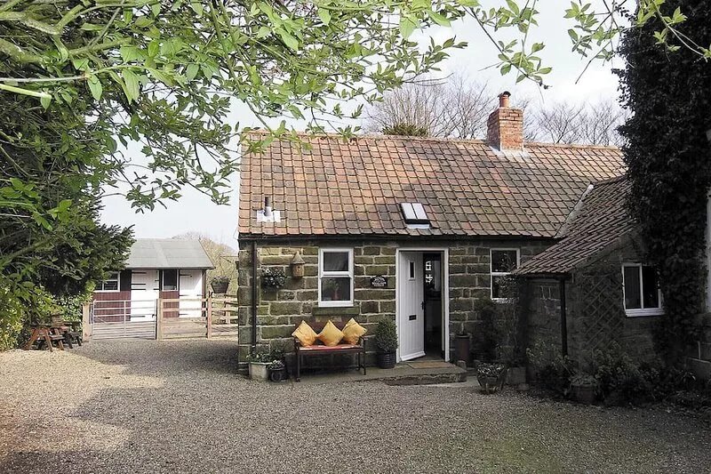 1 bedroom accommodation in Levisham