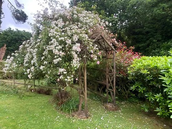 Treglyn Garden and Woodland