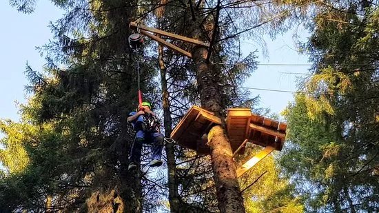 Craufurdland Tree Top Trials and Activities