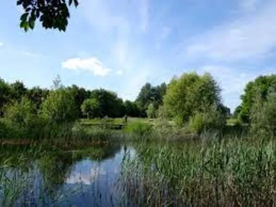 Parc Public De L'etuvee