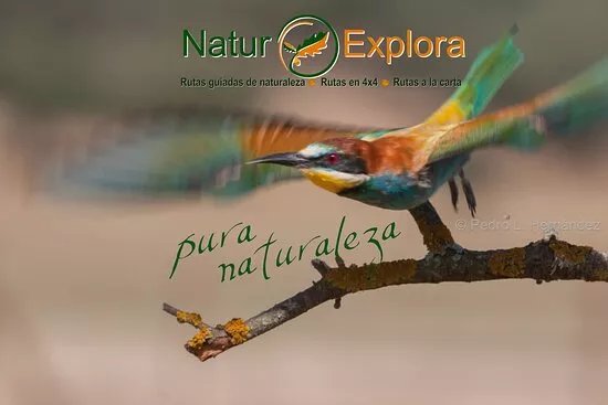 Naturexplora ecoturismo