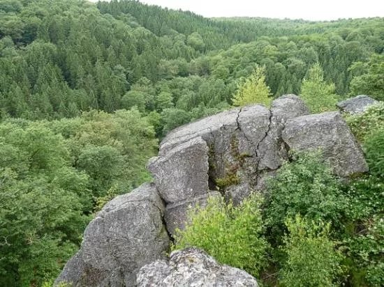 Reserve Naturelle de la Roche a l'Appel