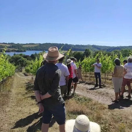 Tamar Valley Vineyard