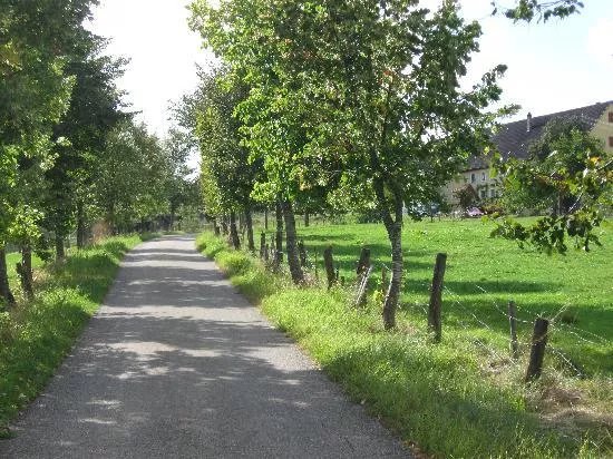 Familie Waizmann Mohrenstetten: Bio-Bauernhof mit Ferienwohnungen