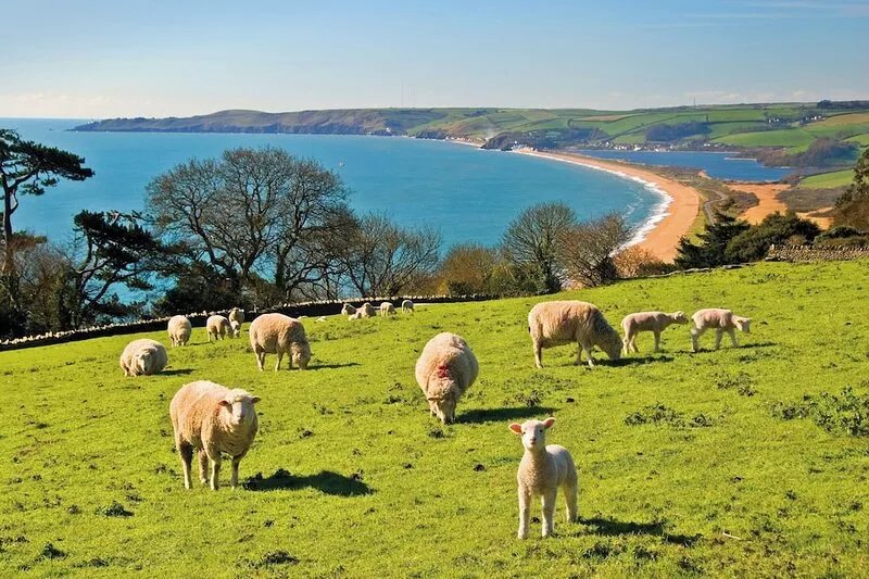 BIGHT BOATHOUSE, pet friendly, country holiday cottage in Dartmouth