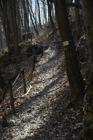 Rezerwat przyrody Dolina Eliaszowki