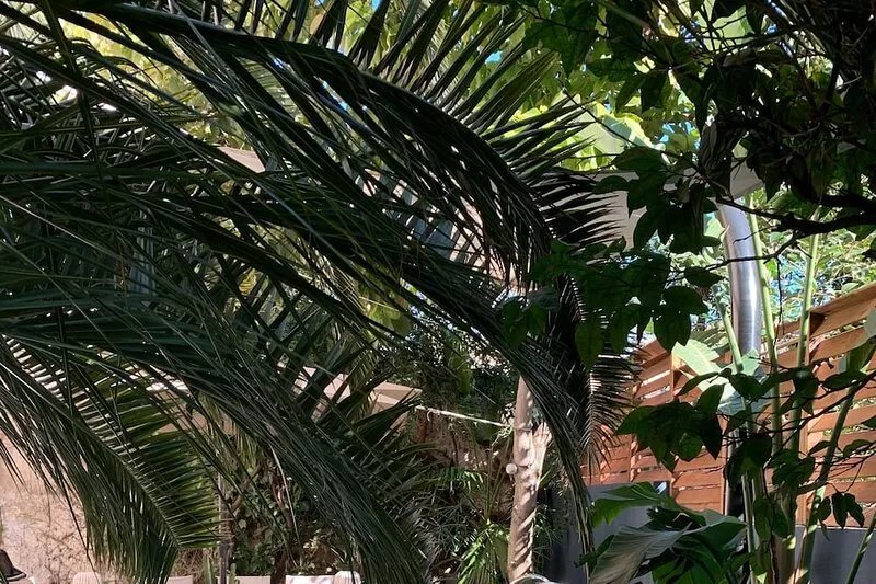 Cannes downtown beach 3 mn, pool, spa, air conditioning, 6 bedrooms, 4 bathrooms