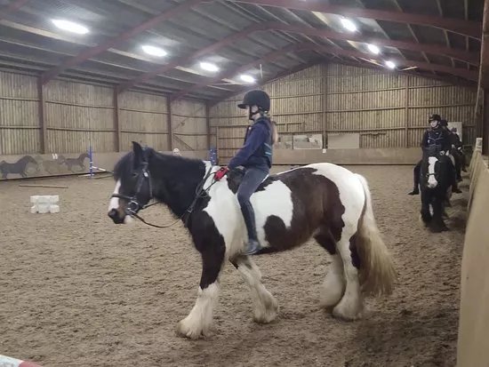 Bryerley Springs Equestrian Centre