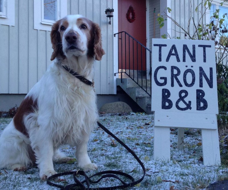 Tant Gron B&B