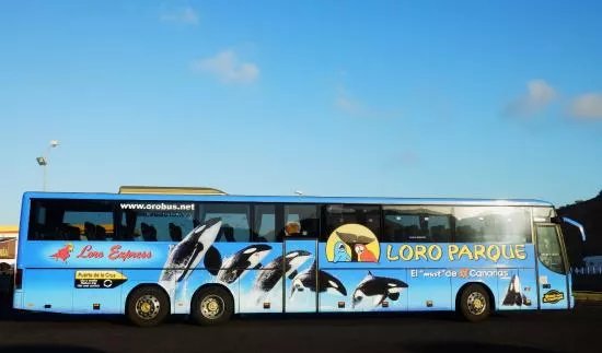 Viajes Reisen Travel's Global Services