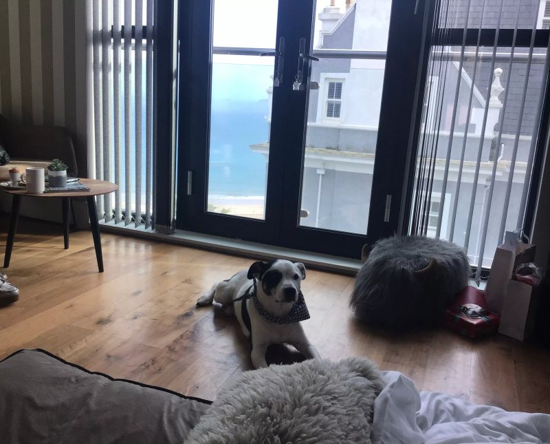 Jack’s Corner – Sleeps 4 – On-Site Parking – Sea Views - Dog Friendly