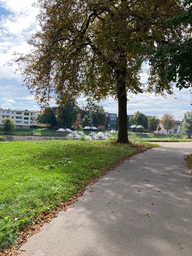 Donauufer