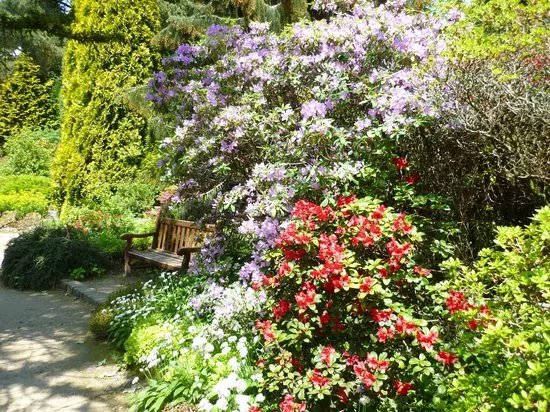 Fletcher Moss Park & Botanical Gardens
