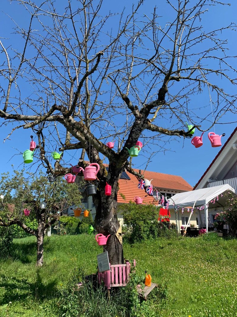 Der Giesskannenbaum